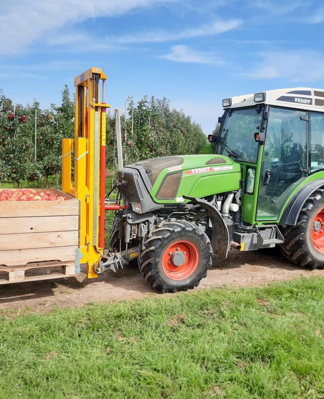 Fendt smalspoortractor in een boomgaard vol rode appels