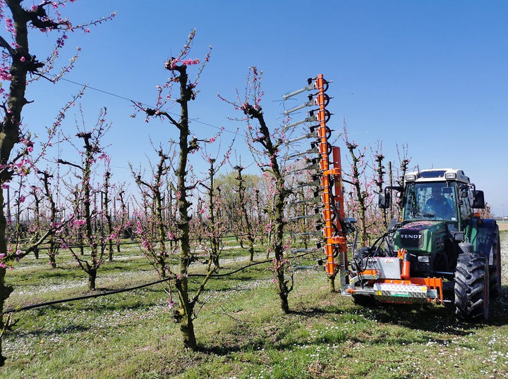 Rinieri Florix bloemdunner aan het werk in een bloeiende boomgaard
