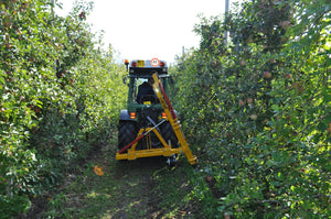 Ilmer wortelsnijder aan de driepuntshef van een fruitteelttrekker in een rijpad tussen appelbomen