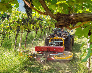 Ilmer LMG strokenmaaier met uitzwenkbare zij-unit aan het werk in een pergola-wijngaard, achter een compacte trekker