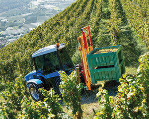 Blauwe smalspoortractor met Ilmer K2-D hefmast vervoert een kist druiven in een steile wijngaard