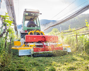 Groene smalspoortractor met Ilmer LMG strokenmaaier maait tussen de rijen onder hagelnetten