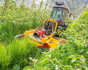 Ilmer SMG cirkelmaaier maait hoog gras tussen de fruitrijen