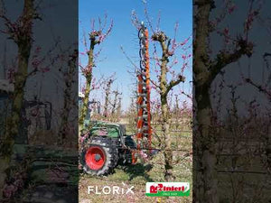 Rinieri Florix bloemdunner in de boomgaard (video)