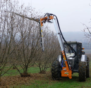 Rinieri ORP snoeimachine met zaagschijven snoeit kale fruitbomen in de winter