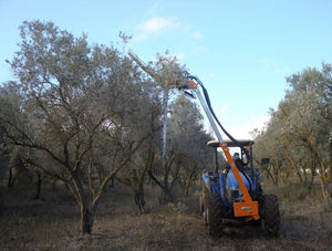 Rinieri ORP snoeimachine met verticale schijvenbalk aan een blauwe tractor in een olijfgaard